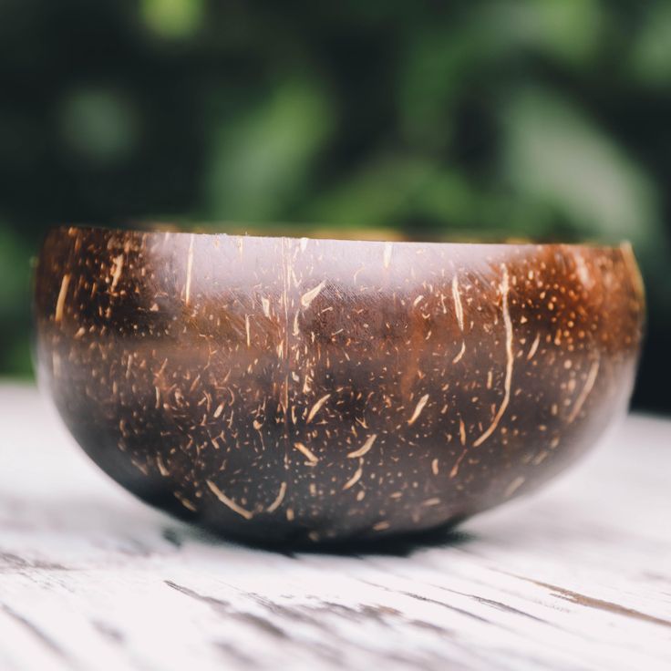 Jumbo Polished Coconut Bowls & Spoons - Reusable - Eco Leaf Products