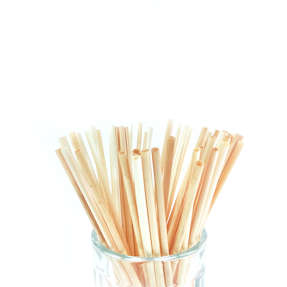 Disposable Wheat Straws - Pack of 50 - Eco Leaf Products