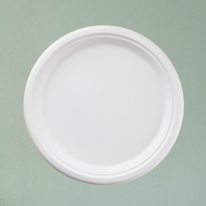 25cm (10") Round Bagasse Disposable Plate - Eco Leaf Products