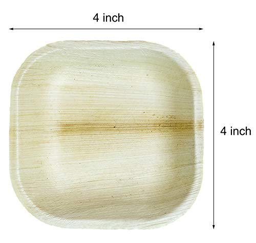 Small 4" (10cm) Square Palm Leaf Wooden Bamboo Sauce Dish - Eco Leaf Products