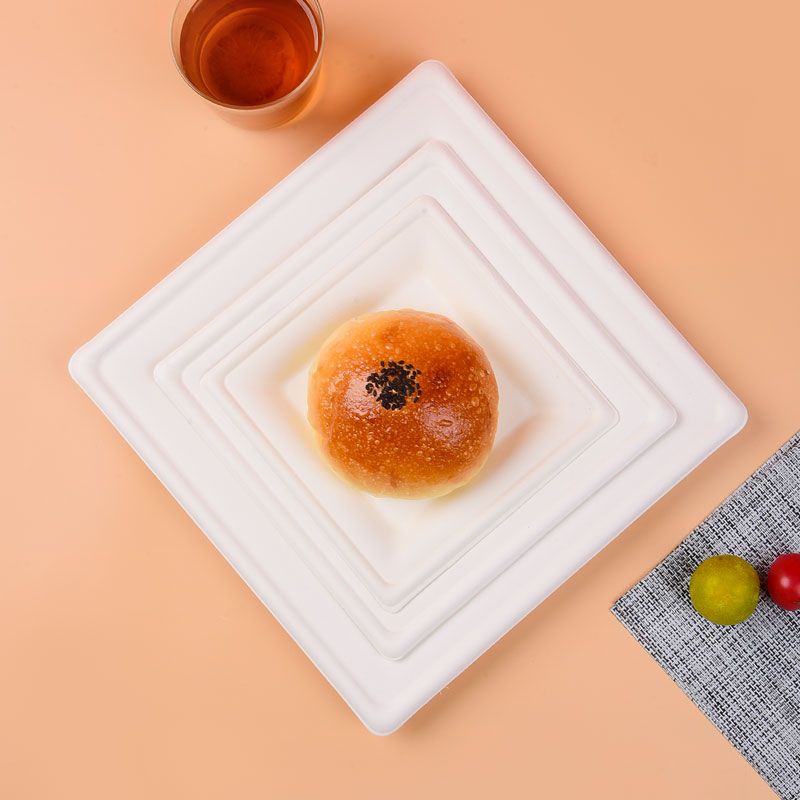 25cm (10") Compostable Square Bagasse Disposable Plate - Eco Leaf Products