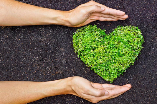 5 Must Know Sustainable Terms In 2024?