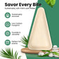 Triangle Disposable Tray 10" (25cm)
