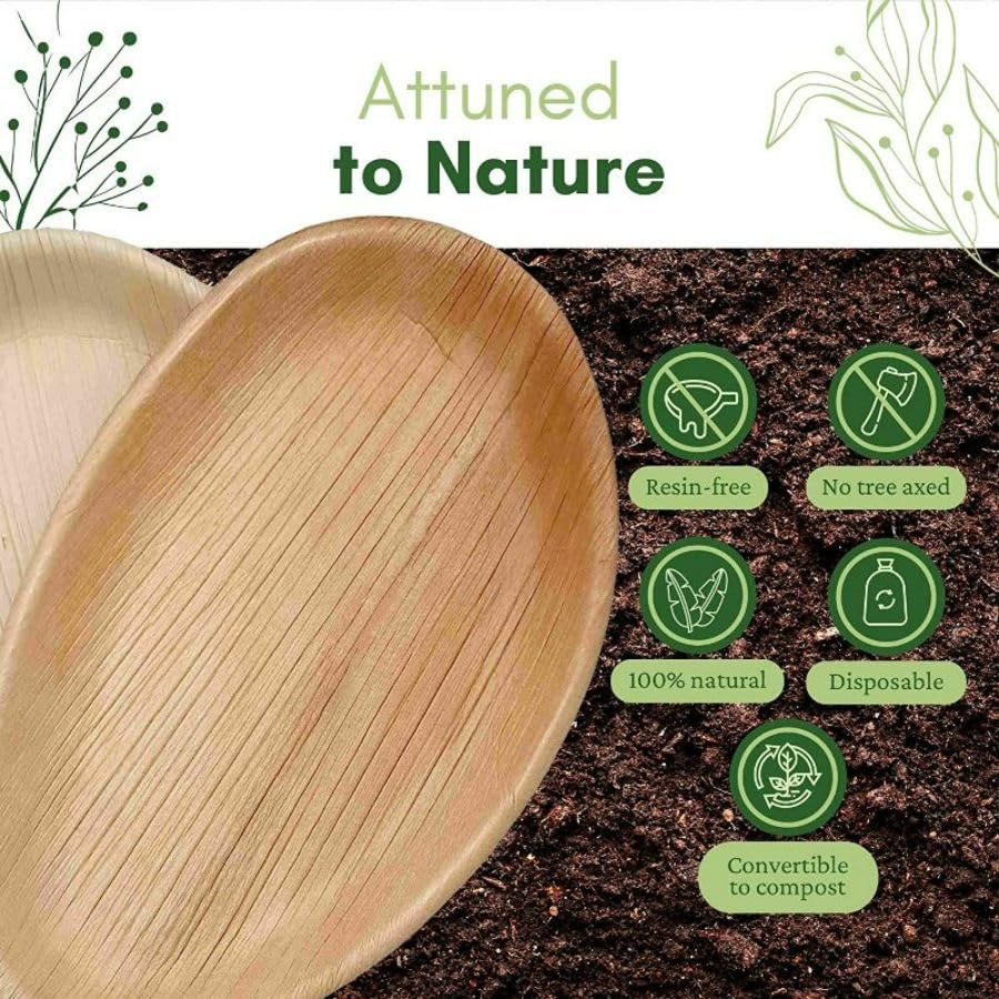 Large Oval Disposable 10" (25cm) Bamboo Palm Leaf Plates - Eco Leaf Products
