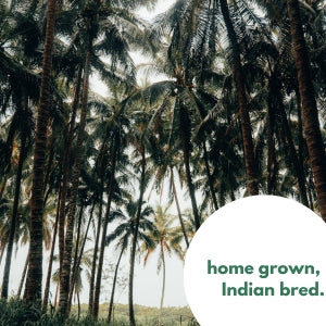 Rice Husk Disposable Plates - Made From 100% Paddy Residue - Eco Leaf Products