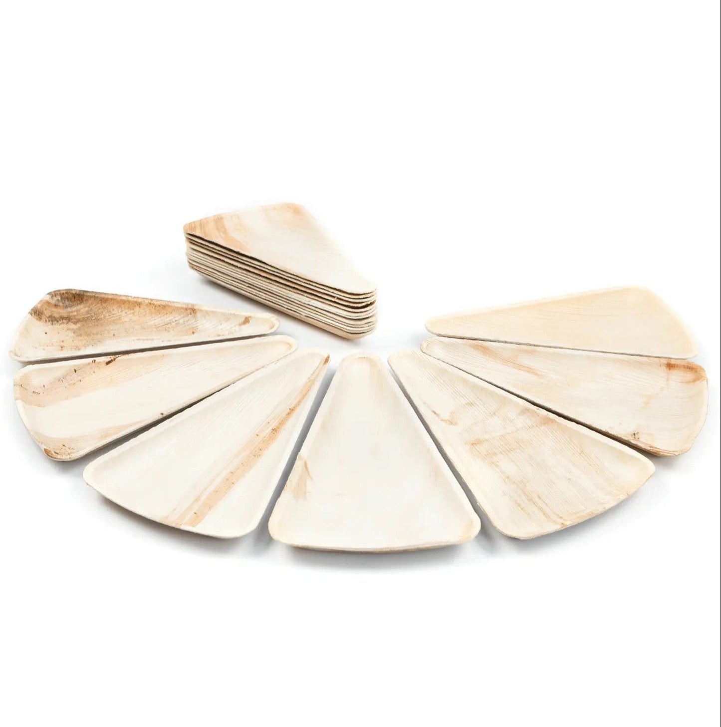 Palm Leaf Triangle Slice Plates 10" (25cm)
