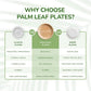 Wholesale Round Palm Leaf Plates - Eco Leaf Products