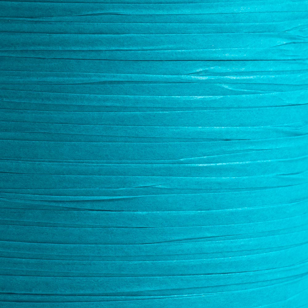 Compostable Ribbon: Turquoise - Eco Leaf Products