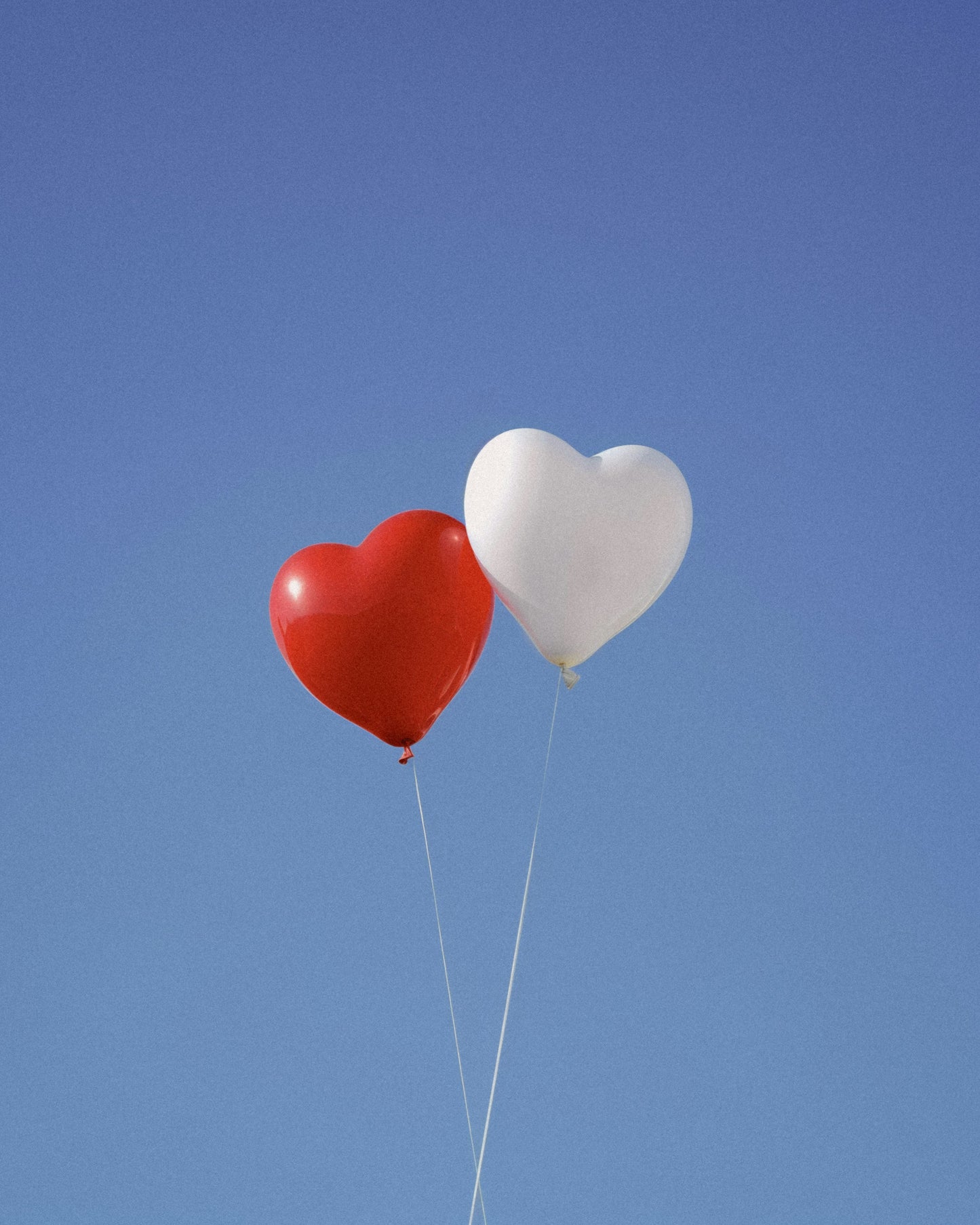 Biodegradable Balloons: Red/White Heart (10 pack) - Eco Leaf Products