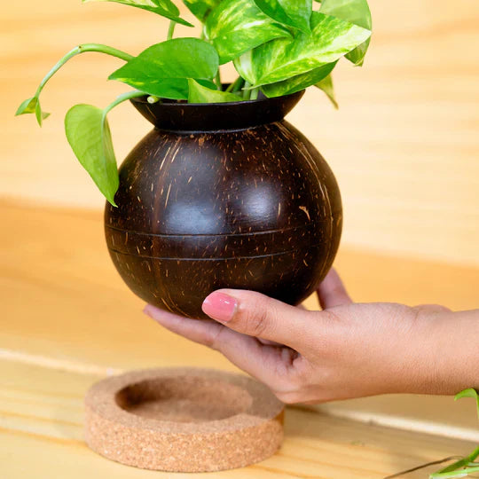 Plant Pot with Cork Tray