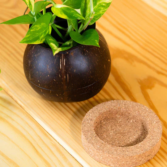 Plant Pot with Cork Tray