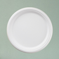 25cm (10") Round Bagasse Disposable Plate - Eco Leaf Products
