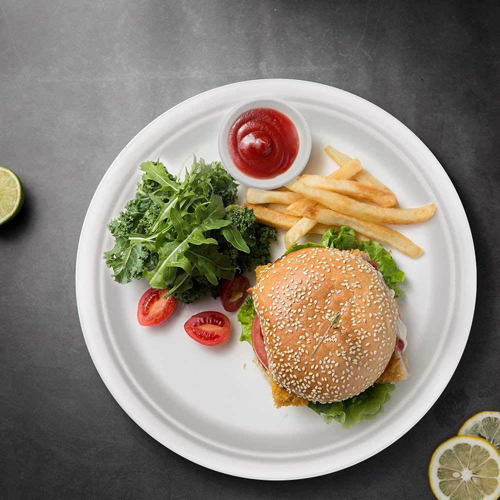 25cm (10") Round Bagasse Disposable Plate - Eco Leaf Products