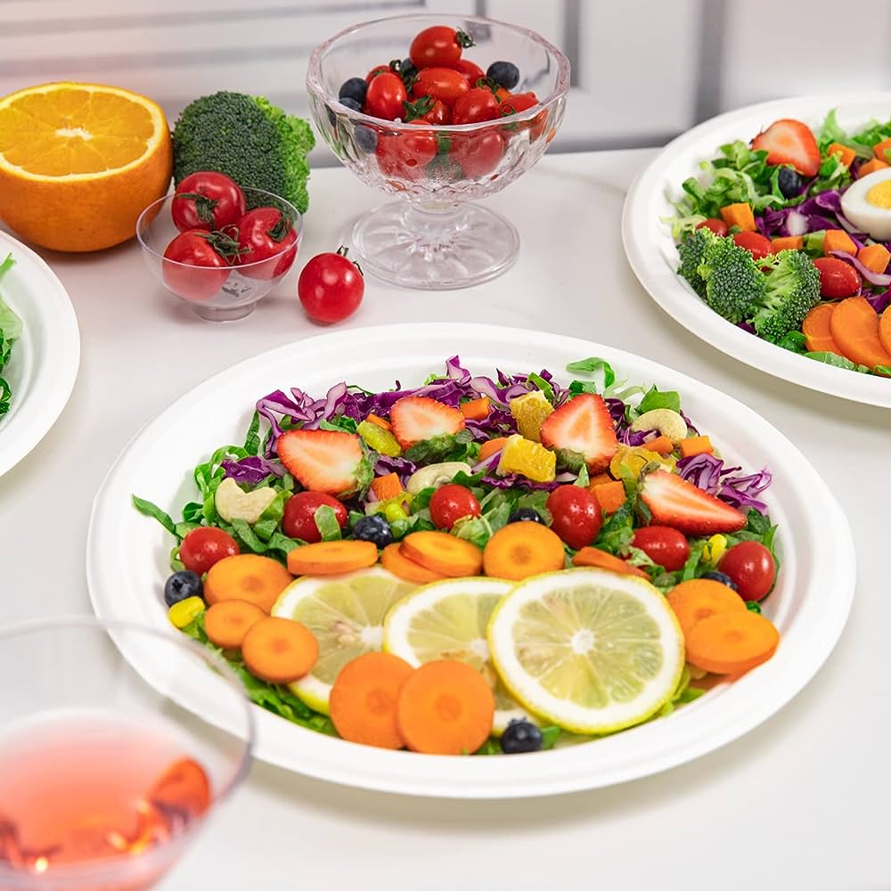 25cm (10") Round Bagasse Disposable Plate - Eco Leaf Products