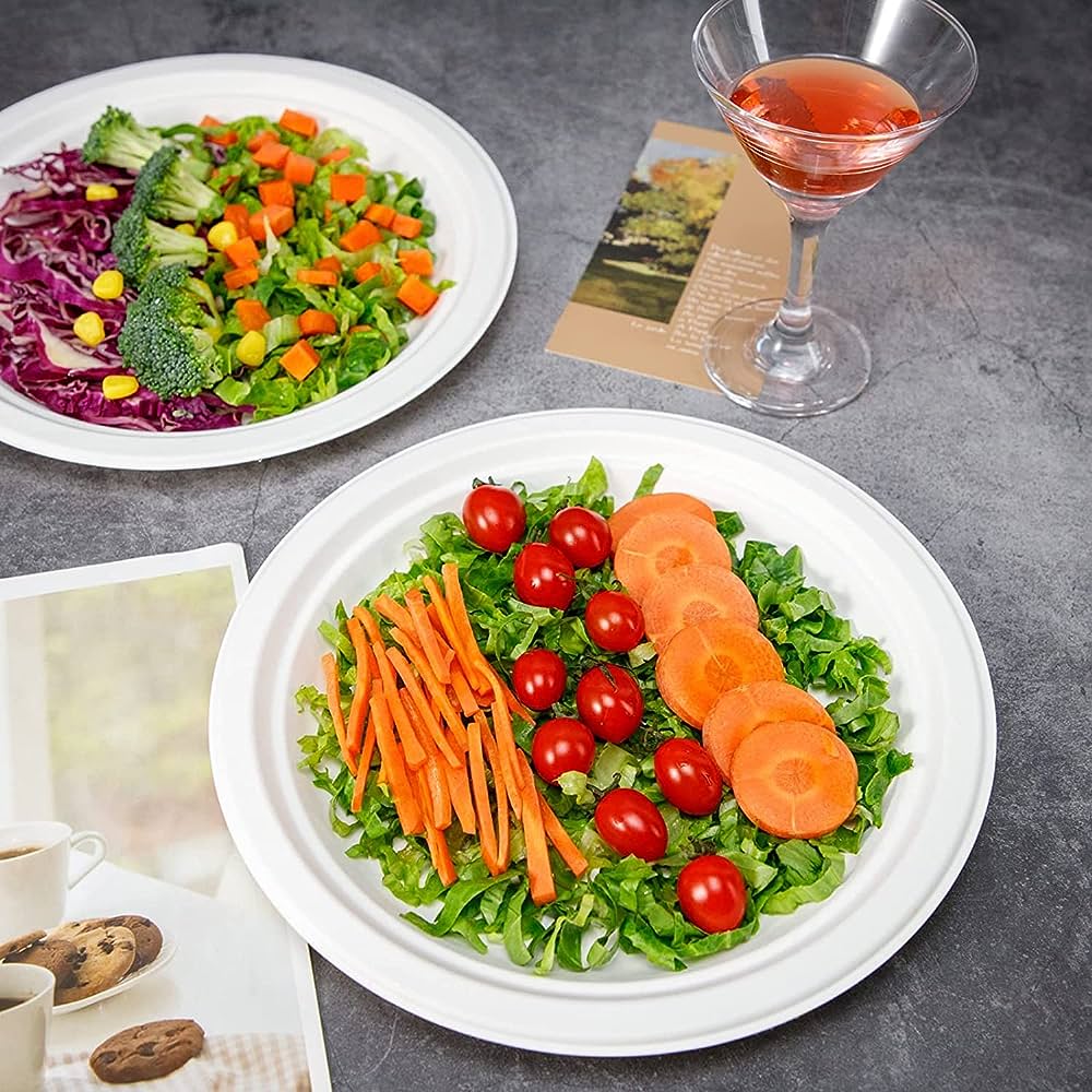 25cm (10") Round Bagasse Disposable Plate - Eco Leaf Products