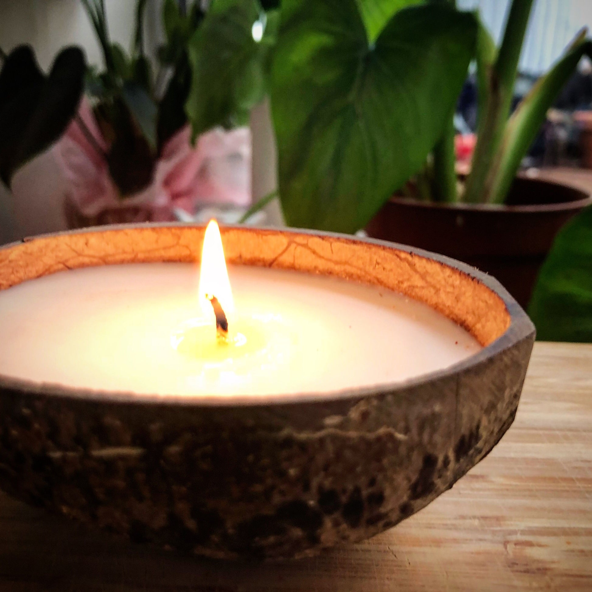 100% Natural Oval Coconut Shell Bowl - Eco Leaf Products