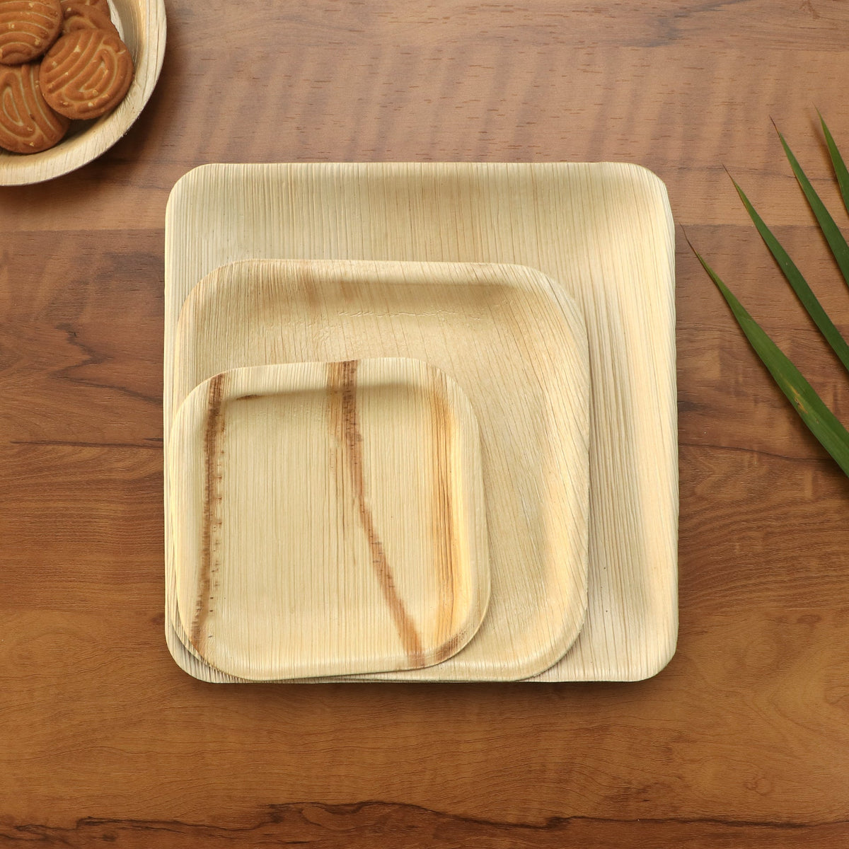 10" (25cm) Square Compostable Palm Leaf Plates – Eco Leaf Products