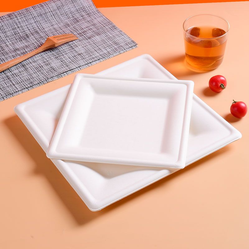 20cm (8") Compostable Square Bagasse Disposable Plates - Eco Leaf Products