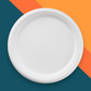 25cm (10") Round Bagasse Disposable Plate - Eco Leaf Products